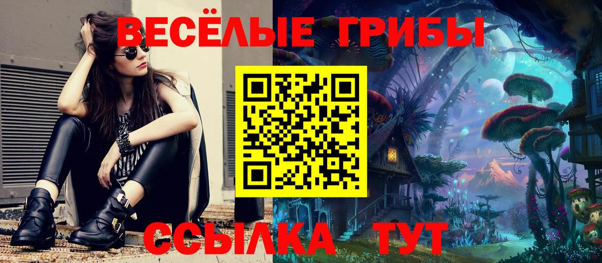 Галлюциногенные грибы GOLDEN TEACHER Новошахтинск